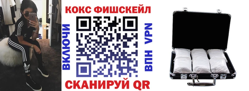 OMG ONION  как найти закладки  Елизово  Кокаин FishScale 